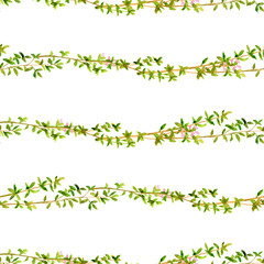 Seamless pattern with thyme branches. Manual graphics, watercolor illustration