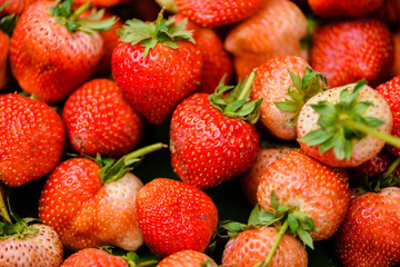 background of fresh harvested strawberries