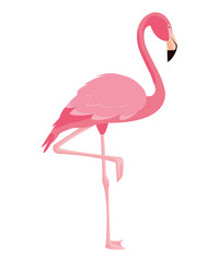 elegant flamingo bird icon