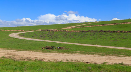 Dirt road in a field in spring