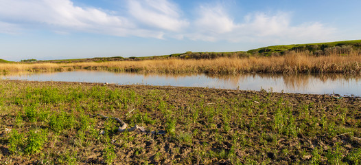 Fototapeta na wymiar Pond in spring steppe as background
