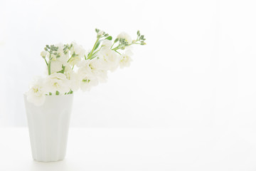 白いストックの花