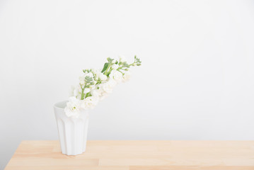 白いストックの花