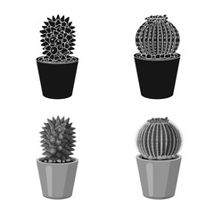 Vector illustration of cactus and pot symbol. Collection of cactus and cacti stock symbol for web.
