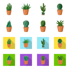 Vector design of cactus and pot symbol. Set of cactus and cacti vector icon for stock.