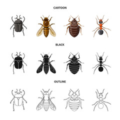 Vector illustration of insect and fly symbol. Set of insect and element stock vector illustration.