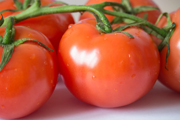 Branch of red tomatoes