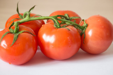 Branch of red tomatoes