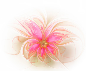 Fototapeta na wymiar Beautiful pink fractal flower