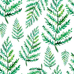 Hand painted watercolor seamless pattern with fern leaves.