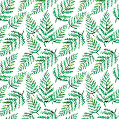 Seamless watercolor Greenery Pattern. Fern Leaves and Branches Print. Summer, Spring Forest Herbs, Plants Texture.