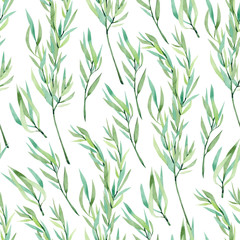 watercolor seamless pattern herbs. Summer print
