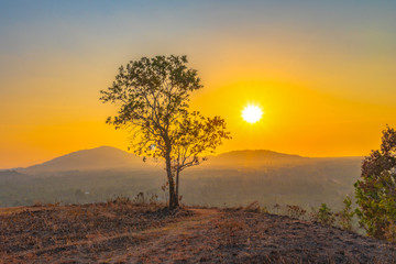 Fototapeta na wymiar beautiful golden sky in sunset behind the tree on hilltop of Baan Ngao temple Rarong province Thailand. .