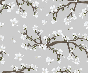 Seamless pattern with white blooming magnolia