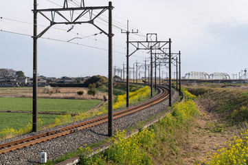 菜の花と田舎の線路