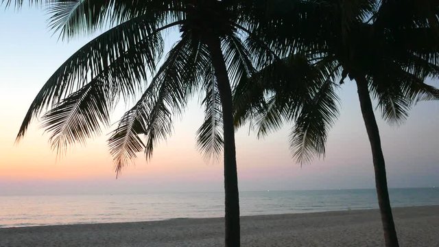 Couple of palm trees on the beach. Evening in the beach with twilight on  the sky.