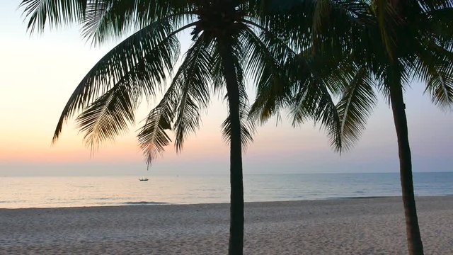 Palm trees on the beach with a endless view of ocean. A calm waves and a colorful sky.