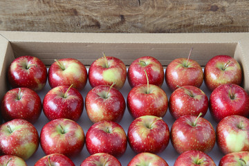  red apples in a paper craft box