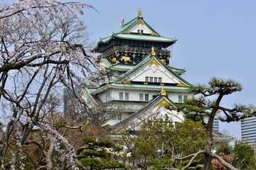 大阪城の桜の花見