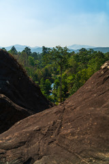 Very high tree from high hill