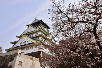 Naklejka premium 大阪城の桜の花見