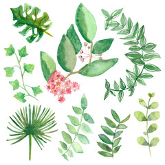 Watercolor set of green tropical ivy branches and pink flowers isolated on white background. Botanical illustration of tropical plants for beautiful design.
