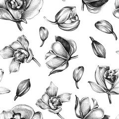 Orchids seamless pattern. Handmade pencil. Design of wallpaper, fabric. 