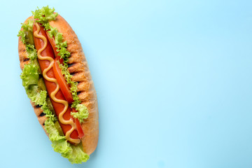 Tasty hot dog on color background