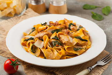 Italian salad, pappardelle pasta, with spinach, grilled chicken and dried tomatoes, sprinkled with flakes of cheese.