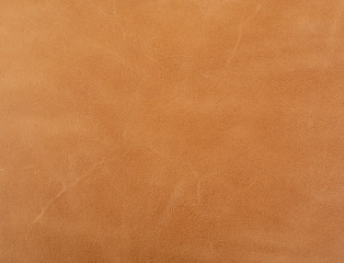 Textura piel animal print