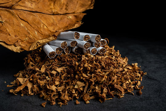tobacco raw material Tobacco Raw Material