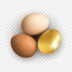 Set of Realistic White and Brown Whole Chicken Eggs