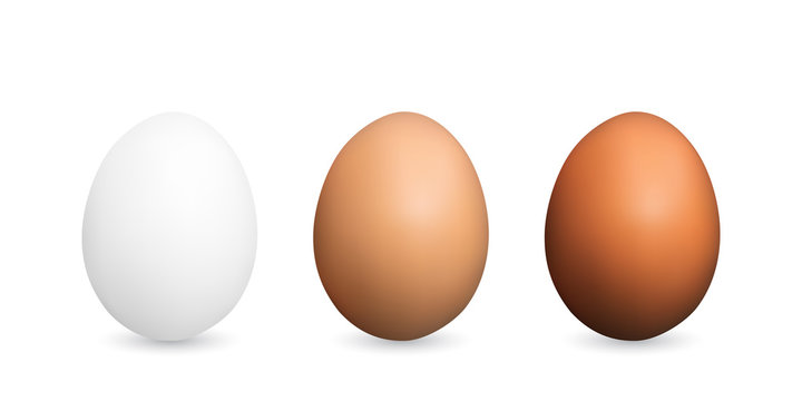 Set of Realistic White and Brown Whole Chicken Eggs