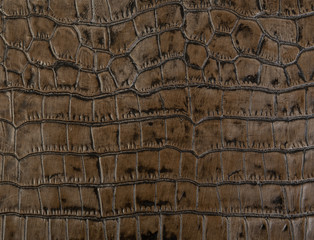 Textura piel animal print