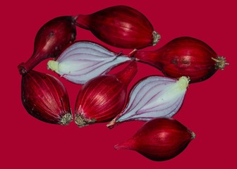 Onions of different colors on an isolated background. 