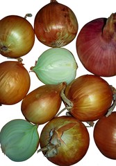 Onions of different colors on an isolated background. 