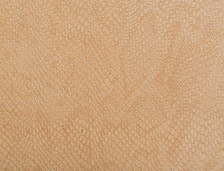 Textura piel animal print