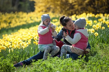 Naklejka na ściany i meble cute twin sisters, embrace on a background field with yellow flowers, happy cute and beautiful sisters having fun with mother in yellow flowers in spring in park, cheerful holidays outdoors