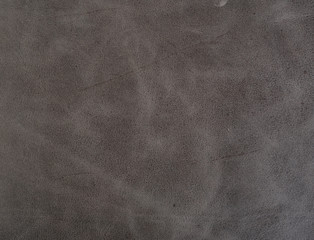 Textura piel animal print