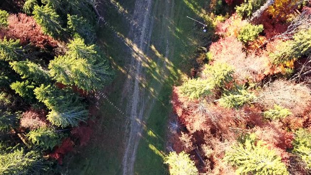 Aerial view of the movement of vehicles on a mountain road. Carpathians. Top view