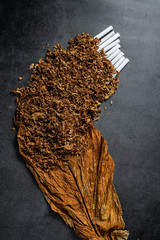 tobacco and cigarette