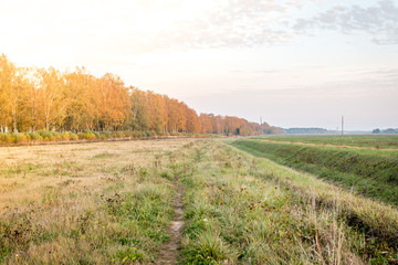 Autumn field in Belarus nature 