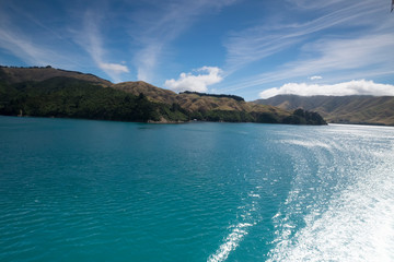 Mountain views, streams and lakes and plants of New Zealand