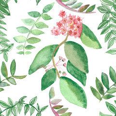 Watercolor set of green tropical leaves and pink flowers isolated on white background. Botanical illustration of tropical plants for beautiful design.