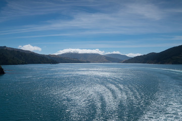 Mountain views, streams and lakes and plants of New Zealand