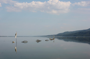 Naklejka premium Lake of Kerkini Serres Greece Europe