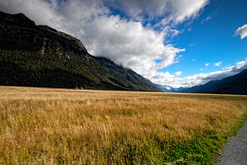 Views of the mountains and plants of New Zealand, mountains and tranquil scenes, New Zealand