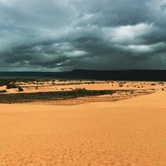 Desert storm