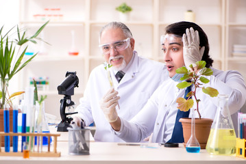 Two chemists working in the lab