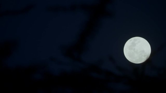 Full moon in the ksy